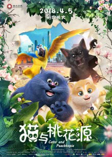 加油!金先生