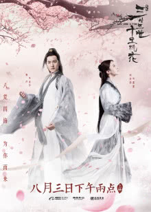 我的世界，史蒂夫的手术