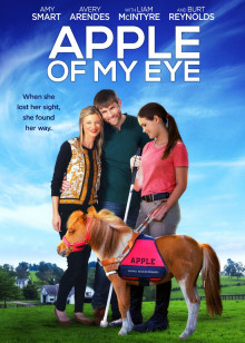 住艺改造家[2017]