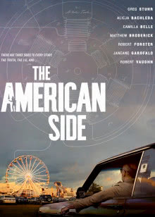 宠物小精灵日月